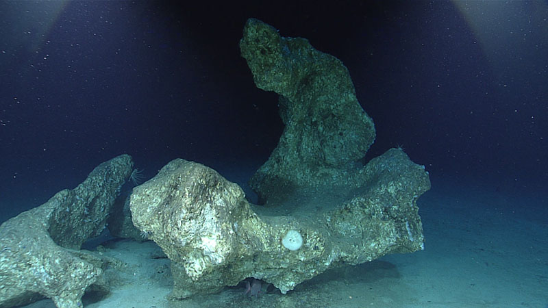Limestone boulders that may have been exposed on the surface and eroded/weathered at one point, as seen during Dive 07 of the third Voyage to the Ridge expedition.