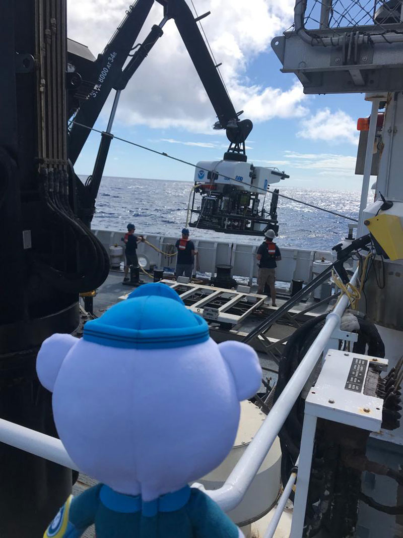 There goes remotely operated vehicle (ROV) Deep Discoverer (also known as “D2”), down for a dive! During Voyage to the Ridge 2022, NOAA Ocean Exploration is using a two-bodied ROV system that includes D2 and Seirios. They can dive as deep as 6,000 meters (3.7 miles), but unlike Captain Barnacles’ trusty Gup-A, no one travels inside of D2 and Seirios. Instead, they are attached to the ship via a very long cable and pilots from the Global Foundation for Ocean Exploration (GFOE) remotely operate the ROVs from the control room on NOAA Ship Okeanos Explorer. Much like Tweak, the engineers from GFOE also keep D2 and Seirios running and in top shape!