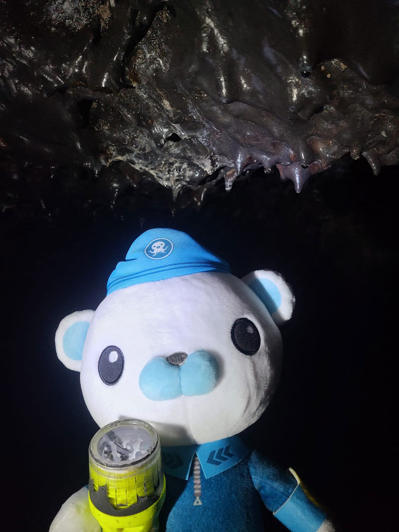 Before heading out to sea for the third Voyage to the Ridge 2022 expedition, Captain Barnacles took some time to take in some of the sights of the Azores. Here, he explores Gruta das Torres (Portuguese for “Grotto of Towers”), a lava cave located on Pico island.