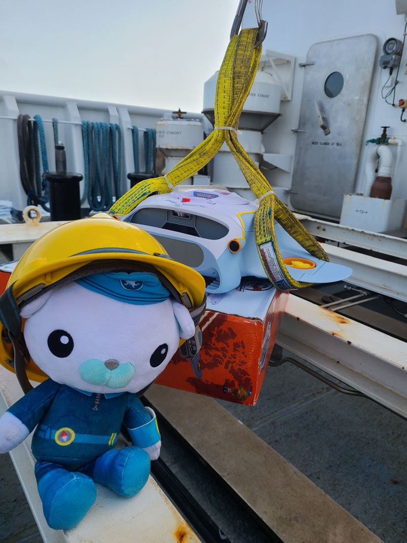 Safety first! Just like all team members on NOAA Ship Okeanos Explorer who are involved in the launch of remotely operated vehicles, Captain Barnacles is sure to wear his hardhat as the Octoray is getting prepared for launch.
