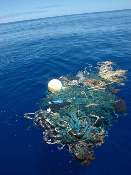 Although much of the debris concentrated in the “garbage patch” is composed of small bits of plastic not immediately visible to the naked eye, large items are occasionally observed. On August 11, 2010, Scripps Institution of Oceanography SEAPLEX researchers encountered this large ghost net with tangled rope, net, plastic, and various biological organisms.
