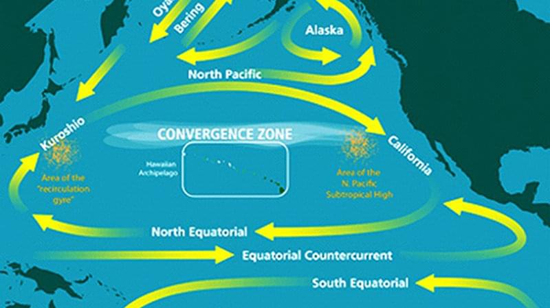 Map of the North Pacific Ocean showing (oversimplified) ocean currents and features. These systems have helped concentrate marine debris, especially large quantities of small bits of plastic, in certain areas.