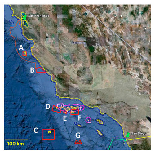 Screenshot from Google Earth showing EX1101 survey areas. Red outlines are overall survey areas, yellow outlines within red are priority areas as defined by ONMS. Pink borders indicate Channel Islands National Marine Sanctuary boundaries. Orange borders indicate Monterey National Marine Sanctuary boundary. Blue borders indicate California state water boundary. Turquoise border indicates US / Mexico EEZ boundary. A one kilometer bar is drawn for scale.