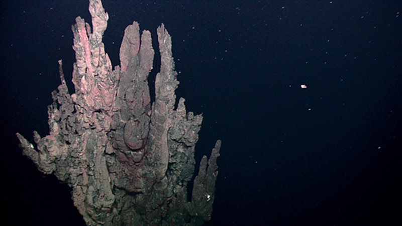 Inactive sulfide chimneys along the pinnacle of one tall extinct sulfide spire. It is likely that these once had billows of superheated hydrothermal fluid emanating from them. They form when minerals in the hot fluid precipitate out upon contact with seawater.