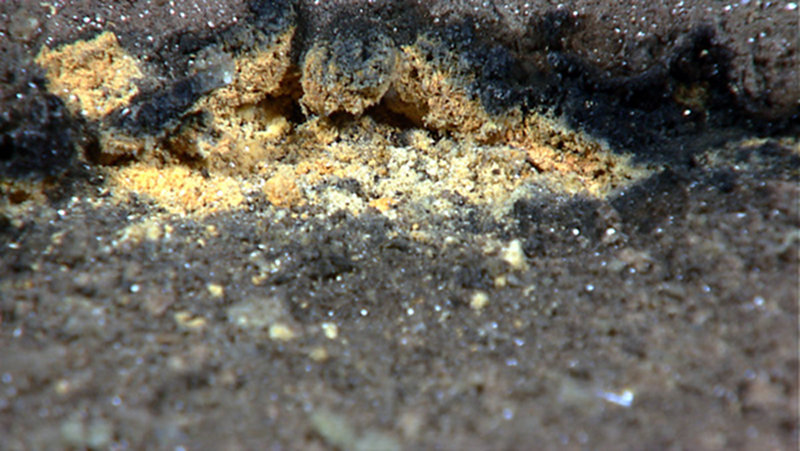 Sulfide Deposit