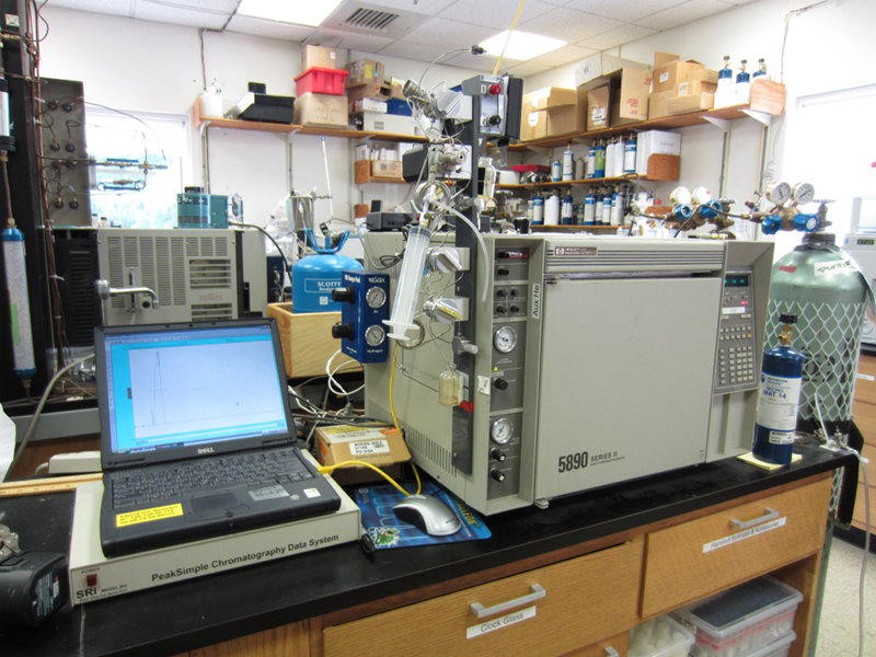 The sample gases are carried in a nitrogen gas flow through a column filled with zeolite minerals.