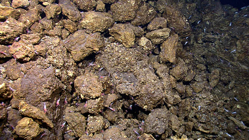 Weathered hydrothermal sulfide rubble on the side of one of the main spires at the Von Damm site.