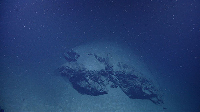 Biological debris that falls from higher in the water column, known as 'marine snow' makes up much of the sediment that is deposited on the seafloor.