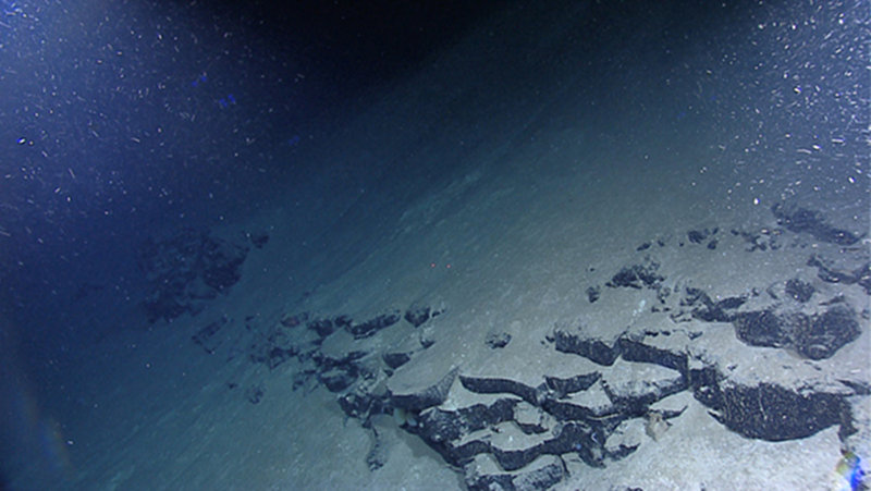 Frozen sheet flow, examples of how lava must have flowed out over the seafloor here at 3500m depth at the Mid-Cayman Rise. Frozen sheet flow was imaged by the ROV during the tenth ROV dive of the expedition at the Mid-Cayman Rise, an ultra-slow spreading ridge.