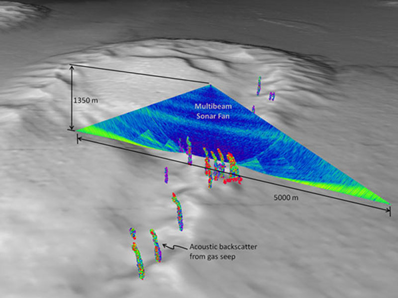 This image from the Gulf of Mexico 2011 expedition shows a view of the multibeam sonar water-column backscatter data used to detect gas seeps. Gas seeps derived from the sonar are shown in the foreground.