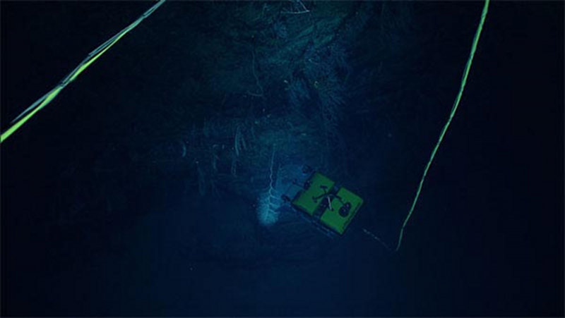 Seirios captured this image of Little Herc examining deep corals along the West Florida Escarpment.