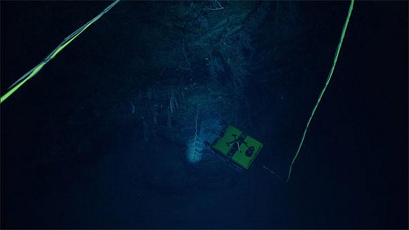 Seirios captured this image of Little Herc examining deep corals along the West Florida Escarpment.