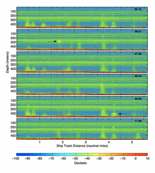 A time series of six sonar images collected over gaseous seeps at Biloxi Dome.