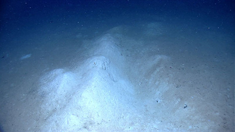 Impressions, called furrows, were found on the seafloor.