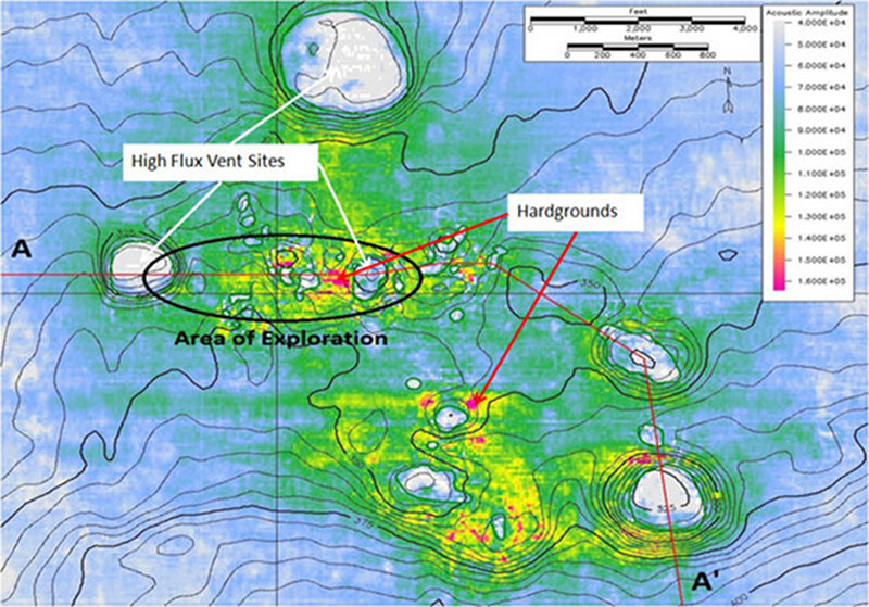 Underwater “rivers” and ponds of liquid brine were discovered at the EW915 site. When enough pressure is applied to buried salt by the overlying seafloor sediments, the salt flows, just like squeezing a tube of toothpaste. When salt squeezes up near the seafloor, it mixes with seawater and dissolves into brine, which is then brought to the seafloor by buoyant gas and oil.