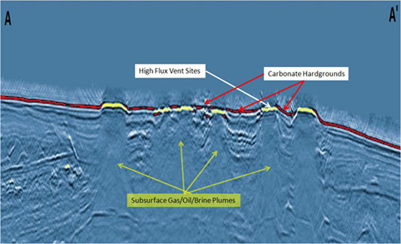 A vertical seismic cross-section showing the sedimentary layering below the seafloor along line A – A’