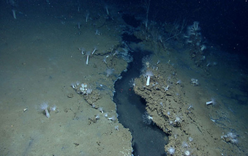 Underwater rivers and ponds of liquid brine were discovered at the EW915 site