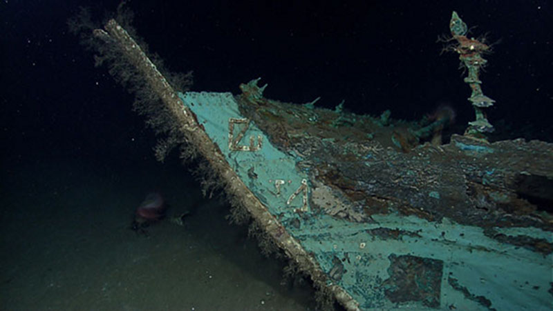 While most of the wood has long since disintegrated from what is believed to be an early to mid-19th century wooden-hulled shipwreck on the deep Gulf of Mexico seafloor, copper that sheathed the hull beneath the waterline as a protection against marine-boring organisms remains, leaving a copper shell retaining the form of the ship. The copper has turned green due to oxidation and chemical processes over more than a century on the seafloor. Oxidized copper sheathing and possible draft marks are visible on the bow of the ship.
