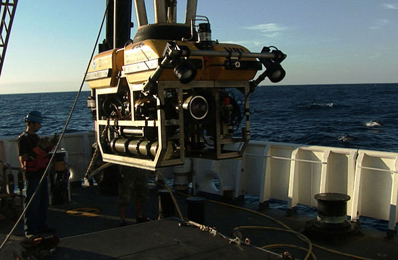 Little Herc’s powerful high-definition camera systems yielded unprecedented images of coral ecosystems