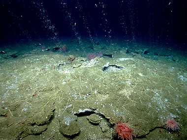 Methane bubbles flow in small streams out of the sediment on an area of seafloor offshore Virginia north of Washington Canyon.