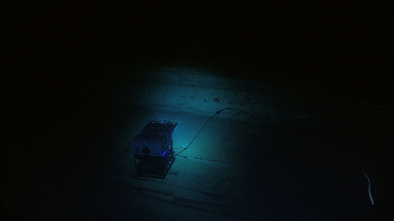 NOAA’s Seirios camera sled images ROV Deep Discoverer during exploration of the eastern wall of Alvin Canyon during a dive on July 18, 2013.