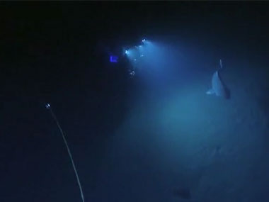 Video of the Greenland Shark encountered on the last dive of the expedition.