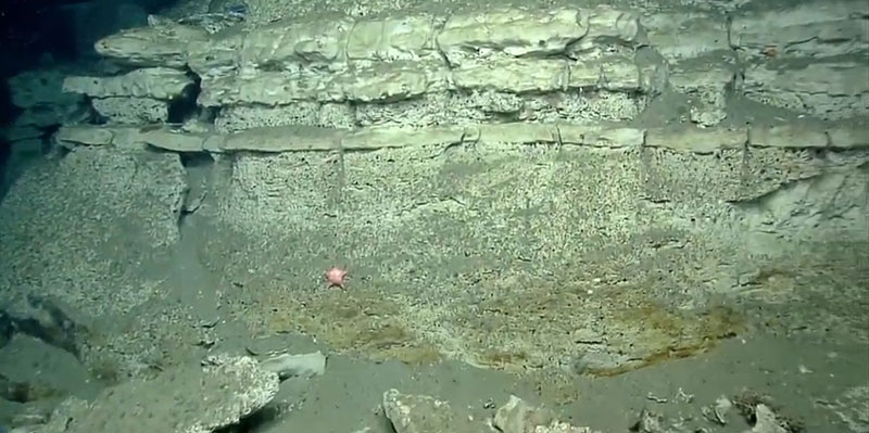 An example of the layered nature and differential erosion of the stratigraphy exposed along the walls in Block Canyon. Thinner layers are most likely porcellanite and the thicker bio-eroded layers are probably chalk. 