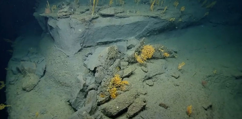 Recent rockfall and spalling failure exposing a clean wall section within Oceanographer Canyon.