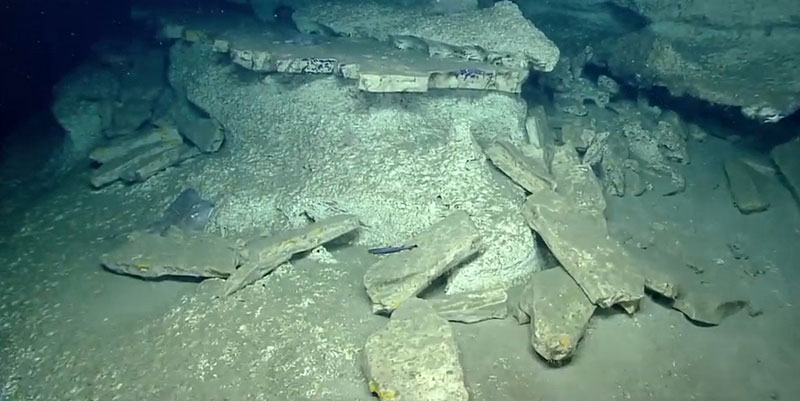 Differential erosion between weaker (possibly chalk) and stronger (porcellanite?) lithologies result in tabular slab failure of the stronger rocks. Weaker rocks have undergone significant bio-erosion. 