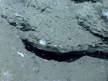 White gas hydrate formed under a rock overhang.