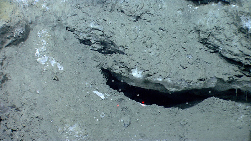 White gas hydrate formed under a rock overhang. Bubbles being emitted from the seafloor are visible in the shadow below the rock. Laser scale denotes 10 centimeters.