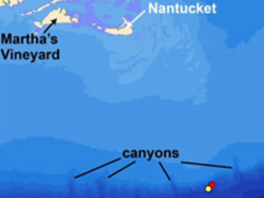 The red and yellow symbols respectively mark the locations of the July 11 and July 12, 2013, Okeanos Explorer and D2 explorations of the seafloor at cold seeps south of Nantucket.