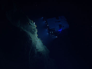 ROV D2 explores steep slopes and cliff faces along the walls of Hydrographer Canyon.