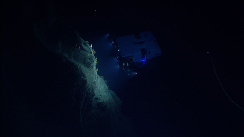 ROV D2 explores steep slopes and cliff faces along the walls of Hydrographer Canyon.