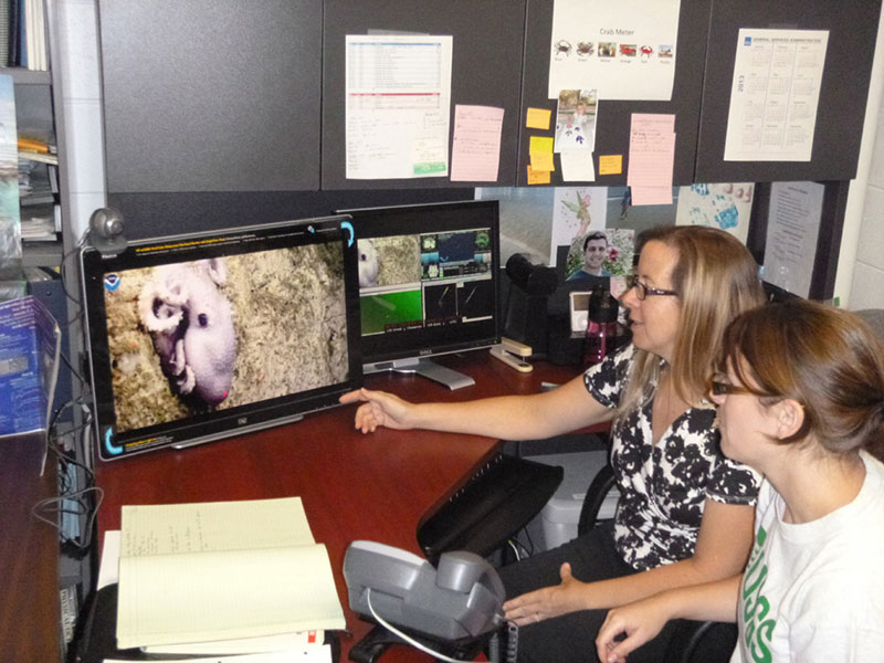 Through the distributed telepresence model used during the Northeast U.S. Canyons 2013 Expedition, the majority of scientists participated from their offices or home. Top: USGS scientists Amanda Demopoulos and Jennifer McClain-Counts participate from their office in Gainesville, Florida. 