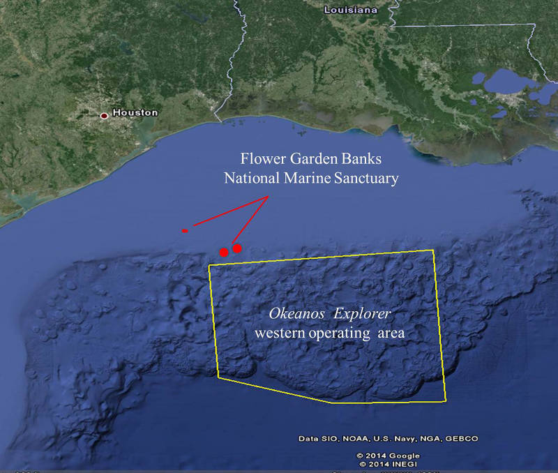 During the 2014 Gulf of Mexico Expedition, NOAA Ship Okeanos Explorer will explore an area adjacent to the Flower Garden Banks National Marine Sanctuary. Using the Deep Discoverer remotely operating vehicle, the team plans to visit a variety of habitats, gathering data that will help scientists investigate connectivity across the Gulf of Mexico.
