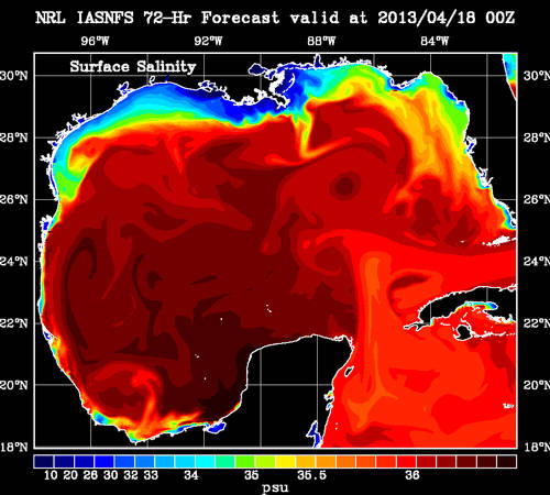 Watch an animation of the real-time currents in the Gulf of Mexico.