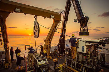 Gulf of Mexico Deep-sea Ecosystems Education Materials Collection