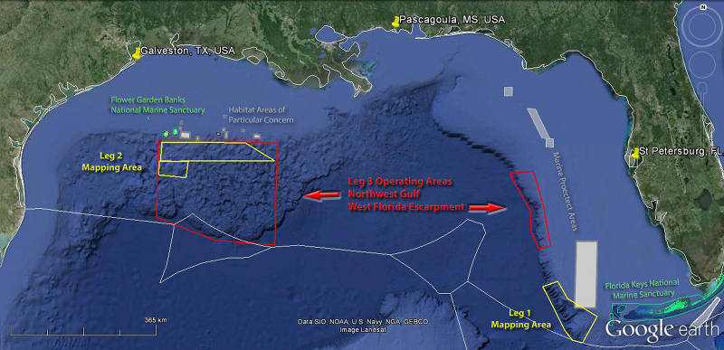 The 2014 Gulf of Mexico Expedition is divided into three ‘legs’ and includes operations on the continental slope and adjacent deep-water areas in the Northwest Gulf of Mexico and the West Florida Escarpment. Starting on February 24, scientists and technicians began mapping the seafloor using <em>Okeanos Explorer’s</em> deep-water mapping systems to acquire data in areas identified as high priority by the management community. Starting on April 10, Leg 3 operations will focus on exploring the diversity and distribution of deep seafloor habitats in the Northwest Gulf of Mexico and on the West Florida Escarpment using ROV Deep Discoverer and the Seirios camera platform.