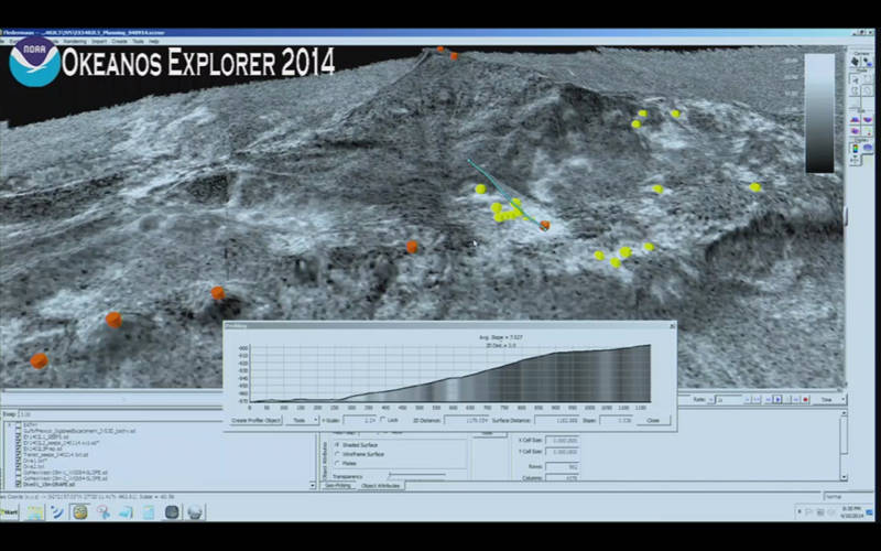 During remotely operated vehicle expeditions, the science team uses Fledermous to view sonar data.