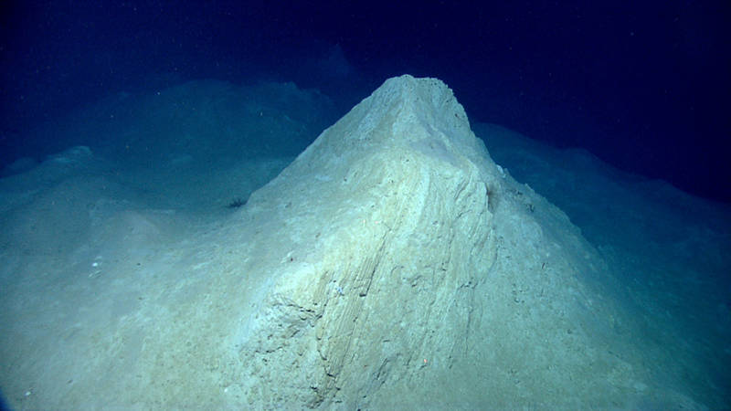 Dipping layered consolidated sedimentary block partially buried in soft sediment.