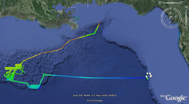 Always Exploring-everywhere NOAA Ship Okeanos Explorer goes she collects high resolution sonar data. Here you can see the multibeam bathymetry data that has been collected so far during the third leg of the 2014 Gulf of Mexico Expedition. Our next set of dives will occur on the West Florida Escarpment (shown here in white dots). We found a lot of interesting things in the Northwestern Gulf, stay tuned to see what we find next!