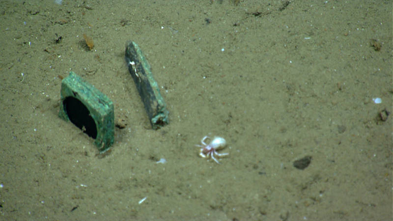 Octant shading glass protruding from seafloor.