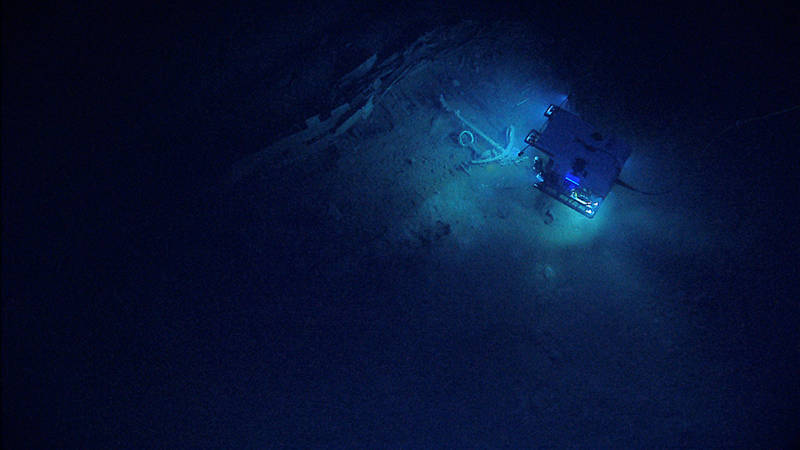 ROV Deep Discoverer (D2) visited three historic shipwrecks during the 2014 Gulf of Mexico Expedition. Here D2 investigates Monterrey Shipwreck C’s anchor and the associated fauna and artifacts in the area.