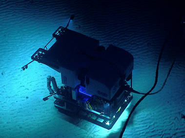 Dive 09 – Kelvin Seamount