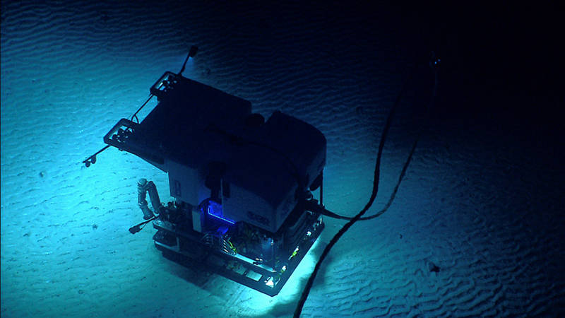 The ROVs discover a field of bed forms or ripples on a flat area of Kelvin Seamount.