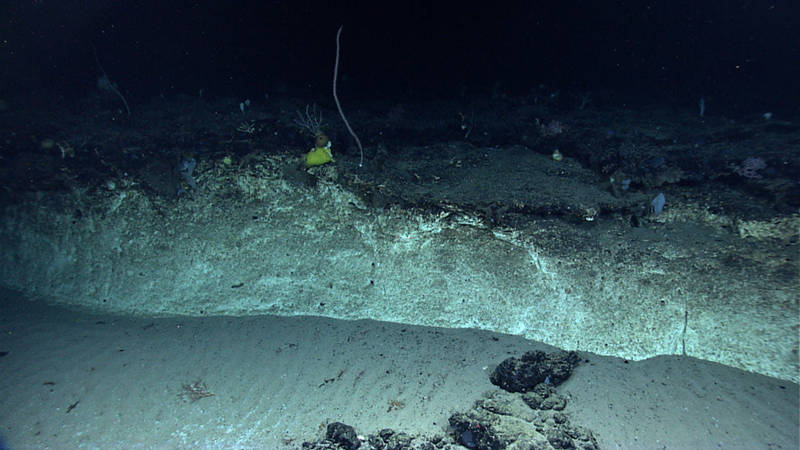 #5 - Atlantis II Seamounts Inter-flow Carbonate Layer.