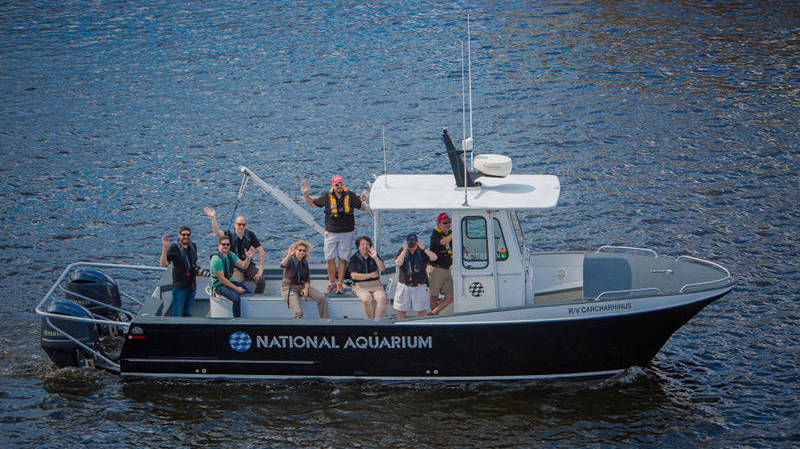 Staff from our hosts, the National Aquarium, welcome Okeanos to Baltimore.