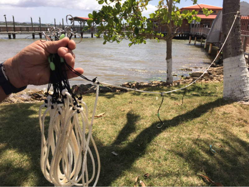 Vertical long line used in Puerto Rico to capture deep-water snappers and groupers.