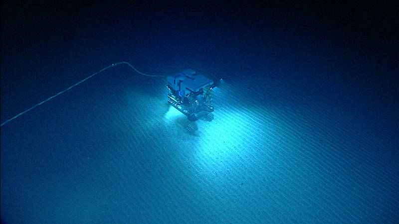 ROV <em>Deep Discoverer</em> explores the rippled seafloor during Dive 02.